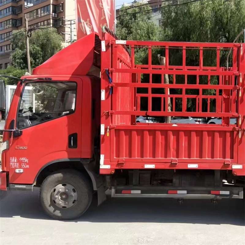 龙沙区罗湖区物流：多元运输服务与线路探秘