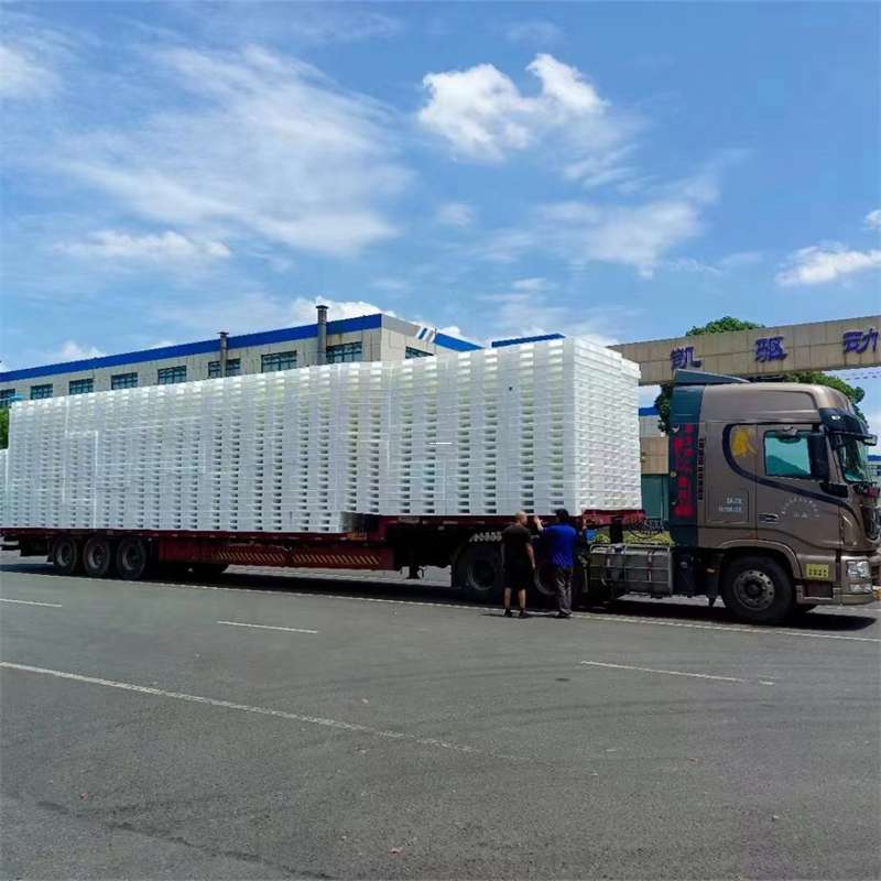 龙沙区黄埔区物流：多元服务与高效运输线路探秘