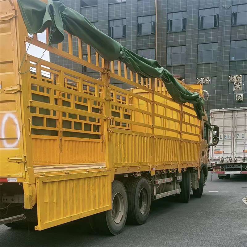 龙沙区灵璧县物流运输：多元服务与高效线路探秘